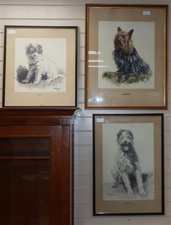 H. Bouvard, watercolour and 2 drawings, Portraits of a Yorkshire Terrier and two other dogs, signed and dated 1945,